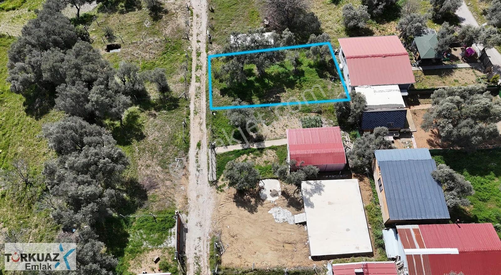 Turkuaz'dan Köye 5 Dakika Mesafede Parsel - Görsel 4