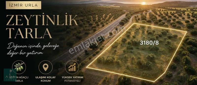 İzmir Urlada Yatırımlık Tarla