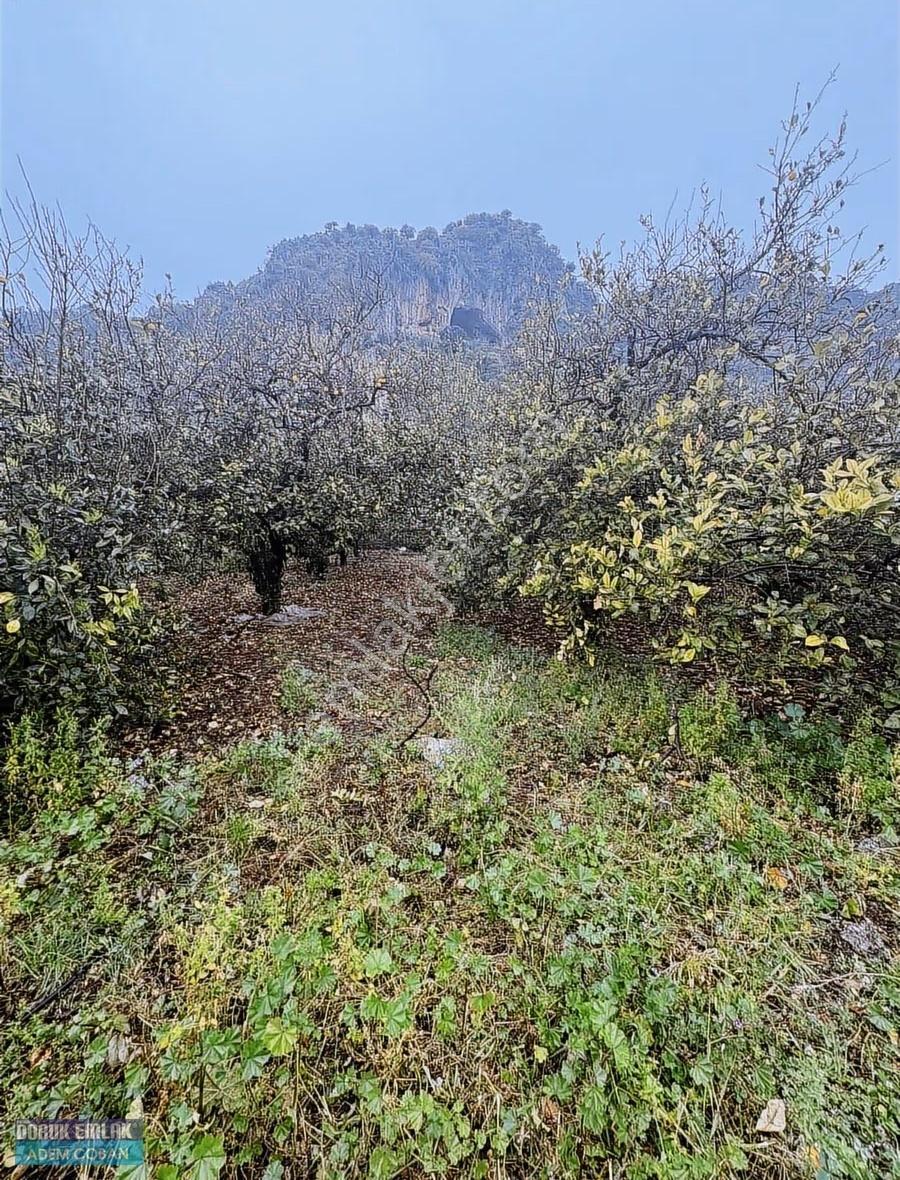 Muğla Ortaca Karadonlar Mahallesinde Satılık Arsa - Görsel 4