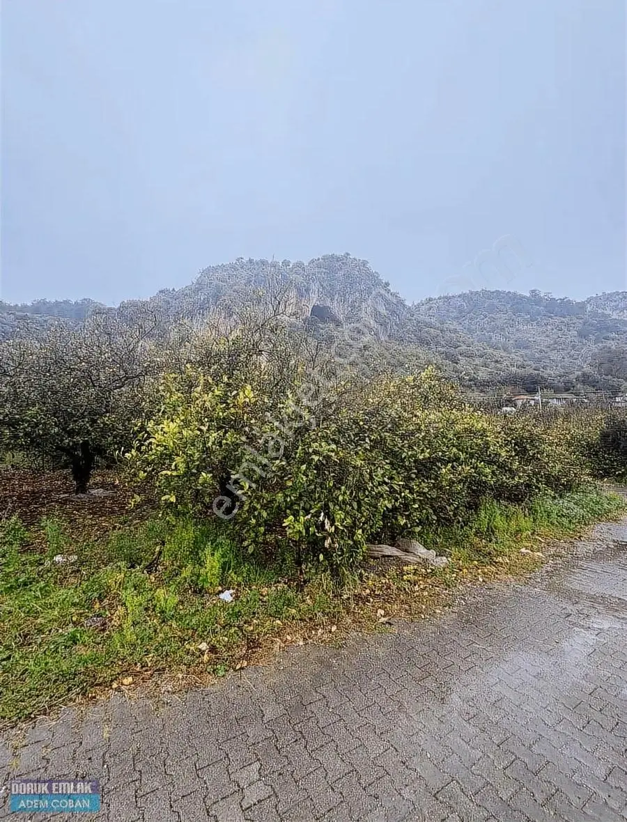 Muğla Ortaca Karadonlar Mahallesinde Satılık Arsa - Görsel 3