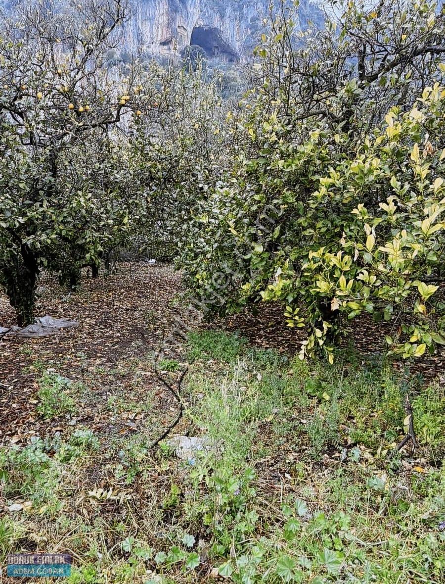 Muğla Ortaca Karadonlar Mahallesinde Satılık Arsa - Görsel 5