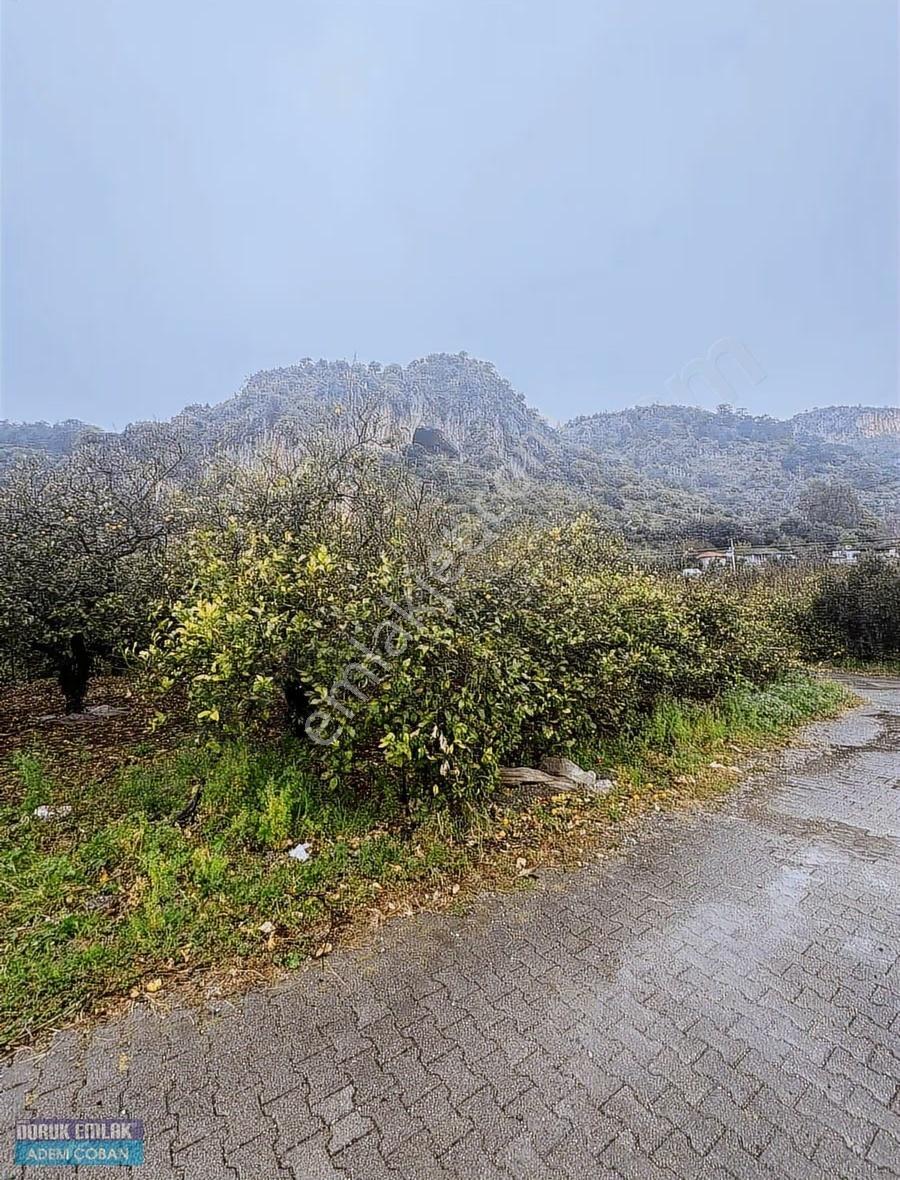 Muğla Ortaca Karadonlar Mahallesinde Satılık Arsa - Görsel 6
