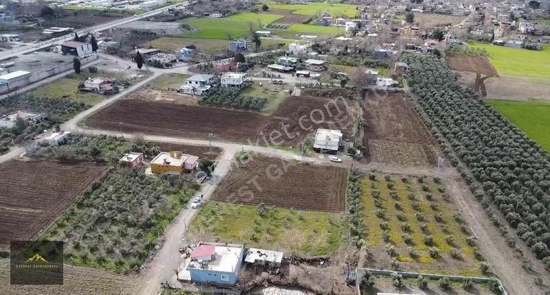 Yarbaşı Geniş Villa Arsası Arayanlar!!!kaçırmayın.... - Görsel 5