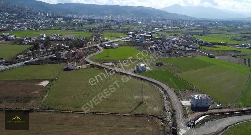 Bu Arsalar Kaçmaz!!!yenice Haruniye - Görsel 6