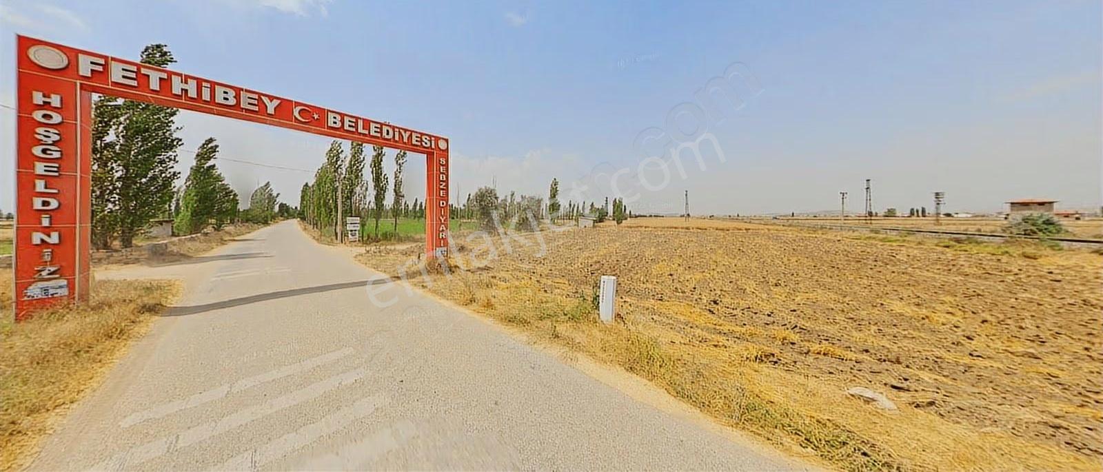 Tarım-seracılık-besicilik-mantar Üretimi Muhtelif Arazi Ve Arsa - Görsel 23
