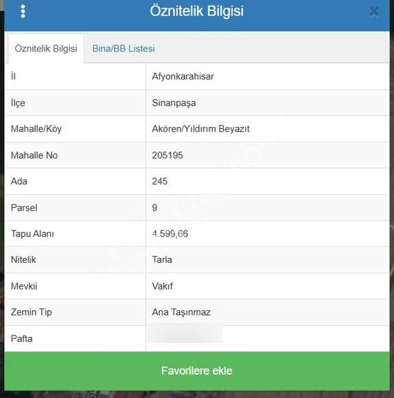 Acill Afyon Sinanpaşa Akören, Bağdat, Yıldırım Beyazıt Araziler - Görsel 12