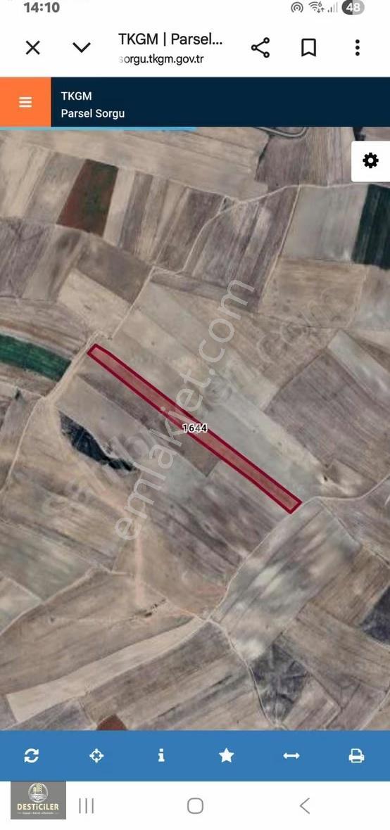 As-çifteler Dikmen Köyü Fırsat Sulu Tarıma Elverişli Tarla - Görsel 3