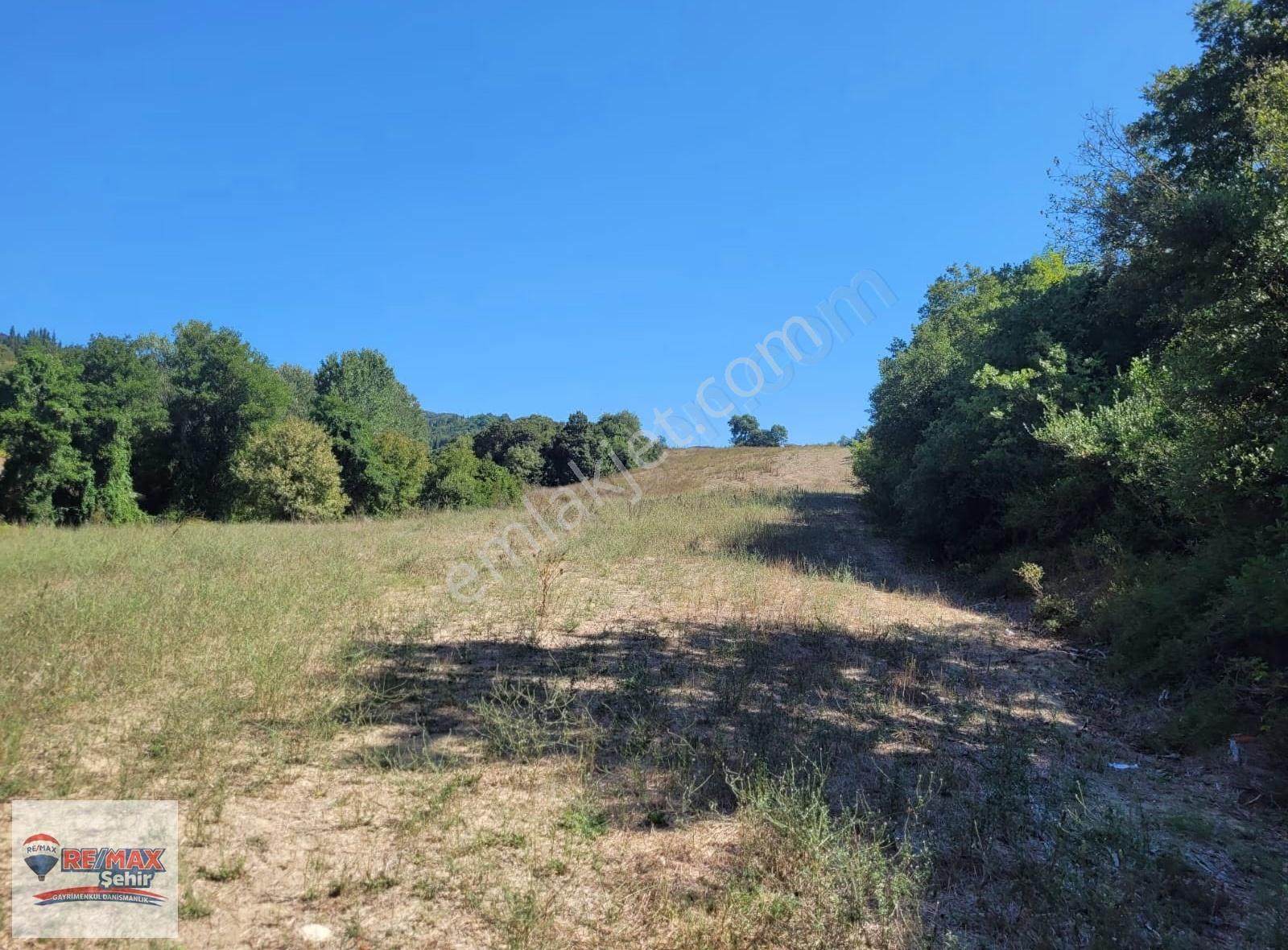 Kocaeli Karamürsel İnebeyli Köyünde Satılık 46.390m2 Tarla - Görsel 3