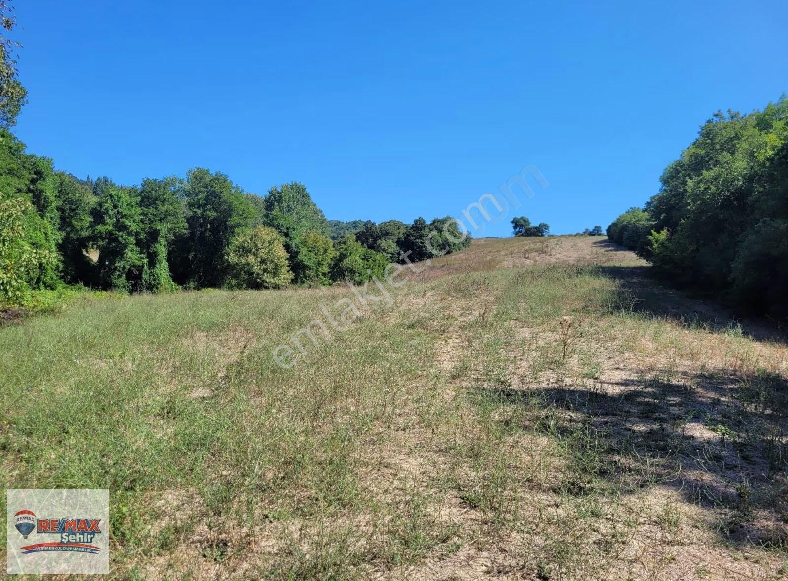 Kocaeli Karamürsel İnebeyli Köyünde Satılık 46.390m2 Tarla - Görsel 2
