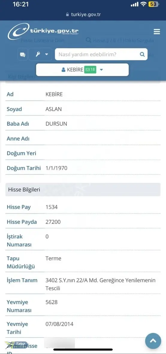 Termede İmara Sıfır Satılık Fındık Bahçesi (hisseli) - Görsel 4