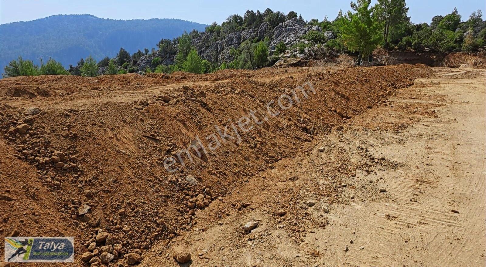 46 Dönüm Avokado 8 Tapu Yan Yana Doğa İçinde Antalya 30 Dakika - Görsel 12