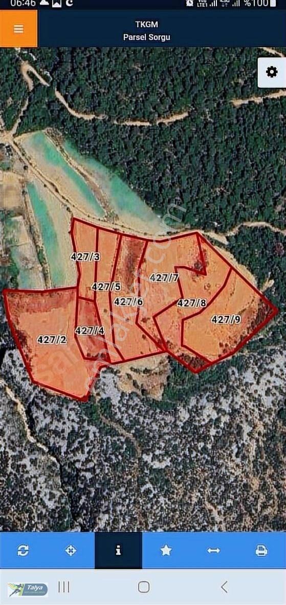 46 Dönüm Avokado 8 Tapu Yan Yana Doğa İçinde Antalya 30 Dakika