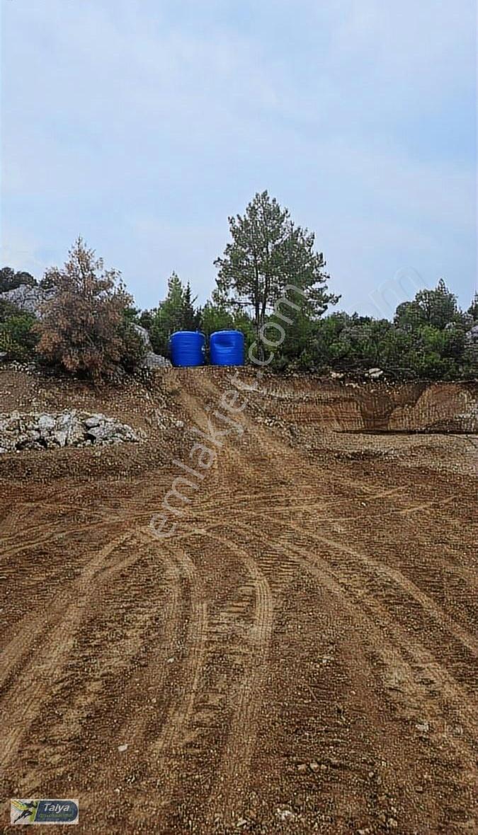 46 Dönüm Avokado 8 Tapu Yan Yana Doğa İçinde Antalya 30 Dakika - Görsel 9