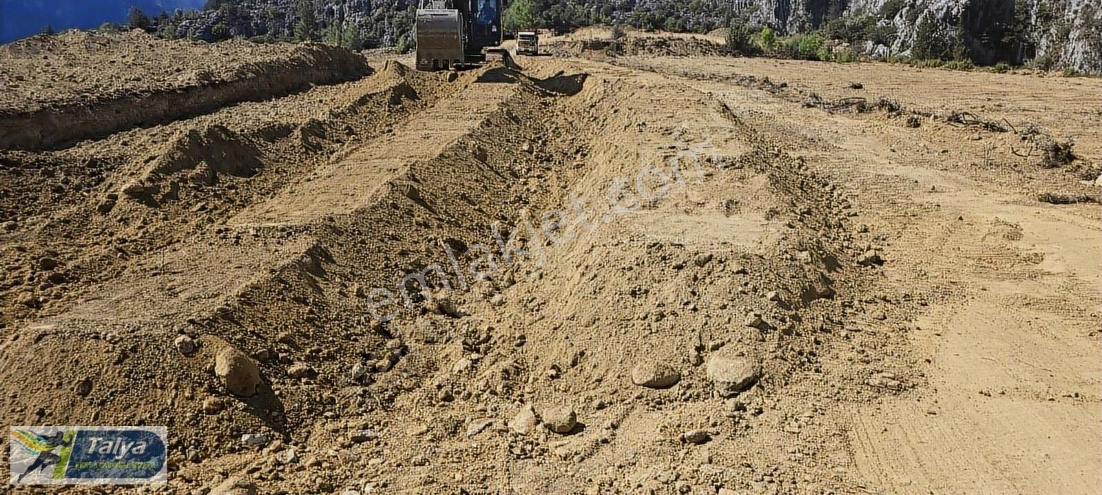46 Dönüm Avokado 8 Tapu Yan Yana Doğa İçinde Antalya 30 Dakika - Görsel 13