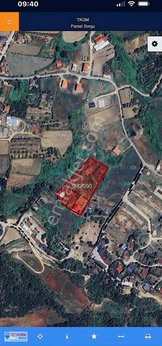 Re/max Şehir'den Yalova Safran'da Satılık Tarla Hissesi