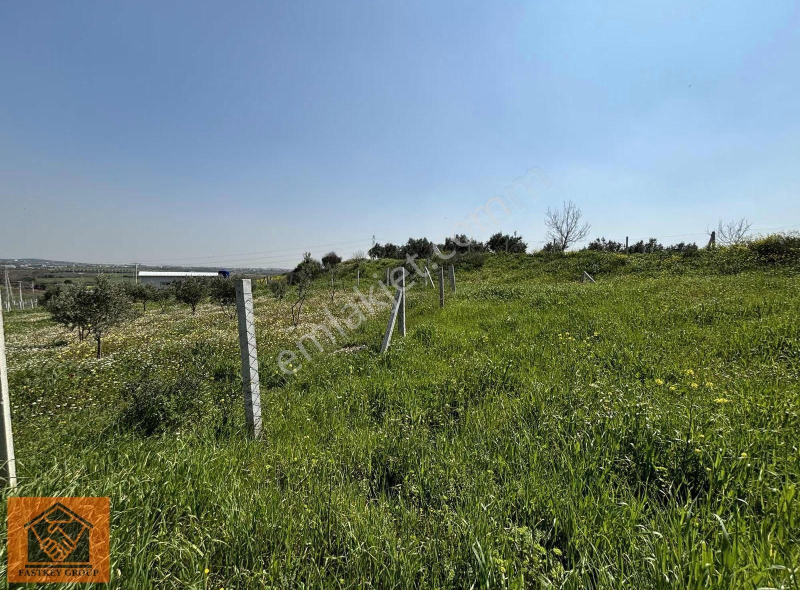 Oğlananası'nda Satılık 398 M2 Hisse Tapulu Tarla Araç Takaslı - Görsel 3