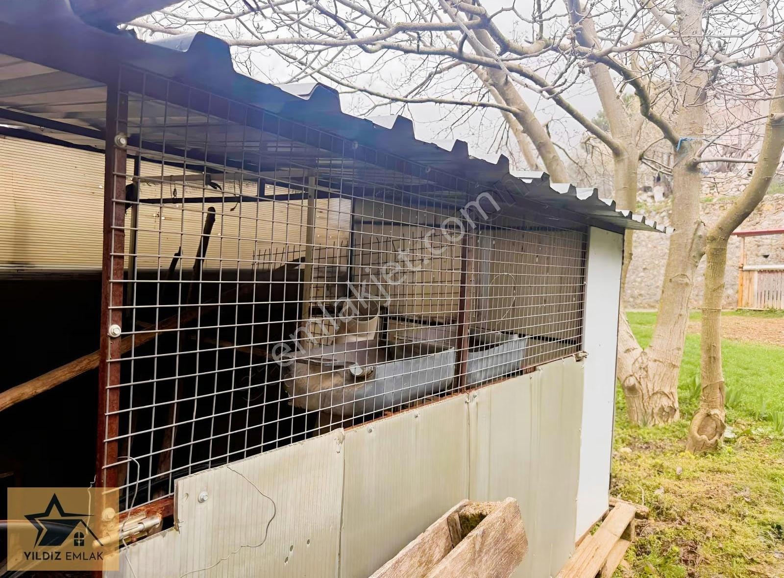 Muğla Kozağaç Mh Kiralık 1+1 Müstakil Ev - Görsel 17