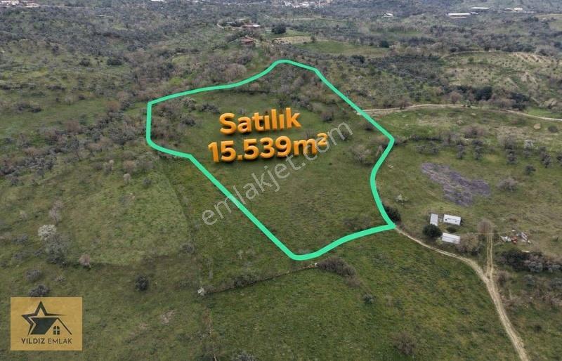 Aydın Yenipazar Çavdar Mahallesinde 15.538,80 M² Satılık Tarla