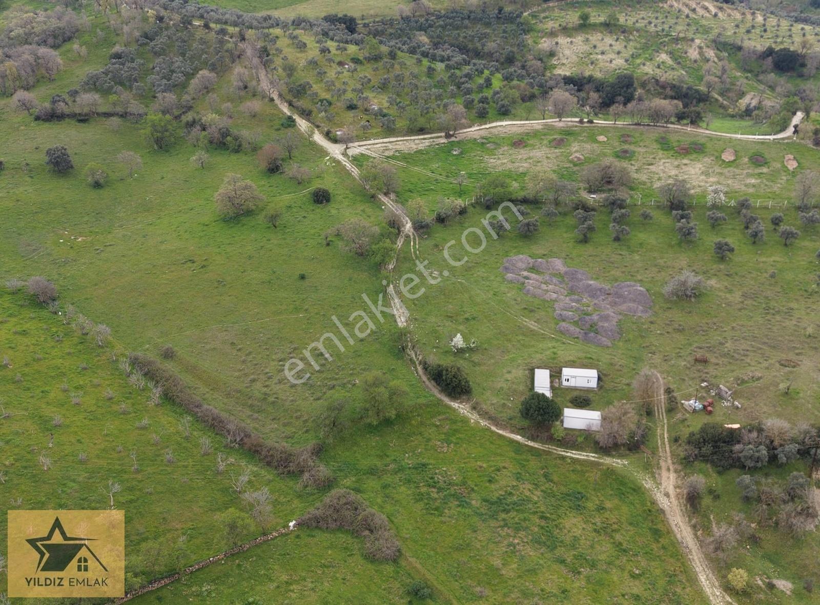 Aydın Yenipazar Çavdar Mahallesinde 15.538,80 M² Satılık Tarla - Görsel 3