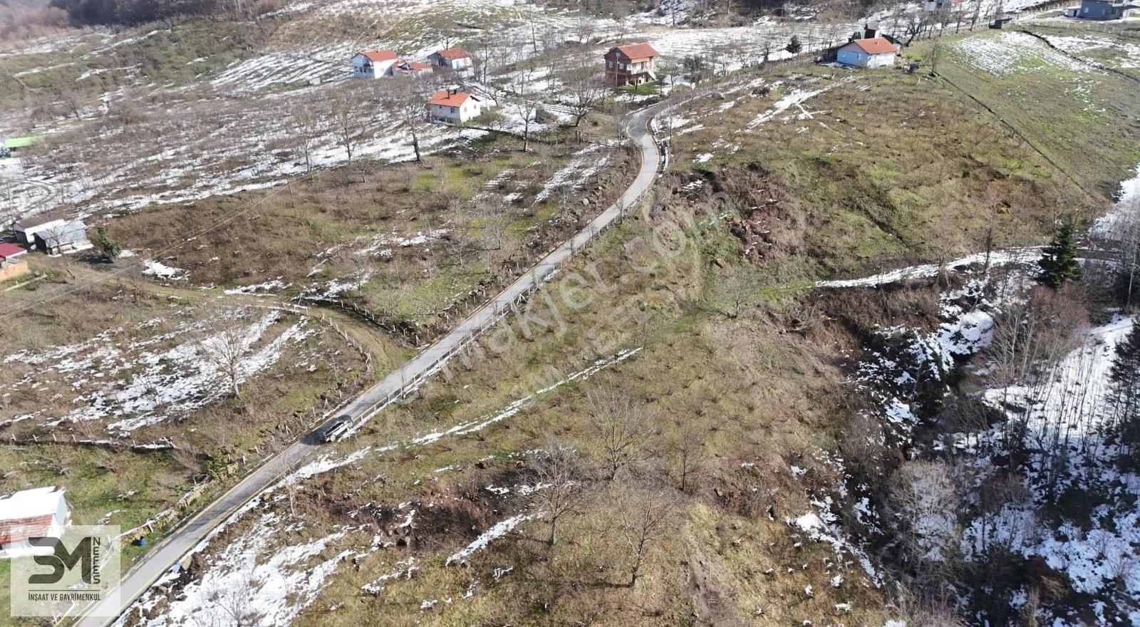 Sakarya Geyve Kamışlı 2240 M2 %40 İmarlı Uygun Fırsat Arsa - Görsel 21