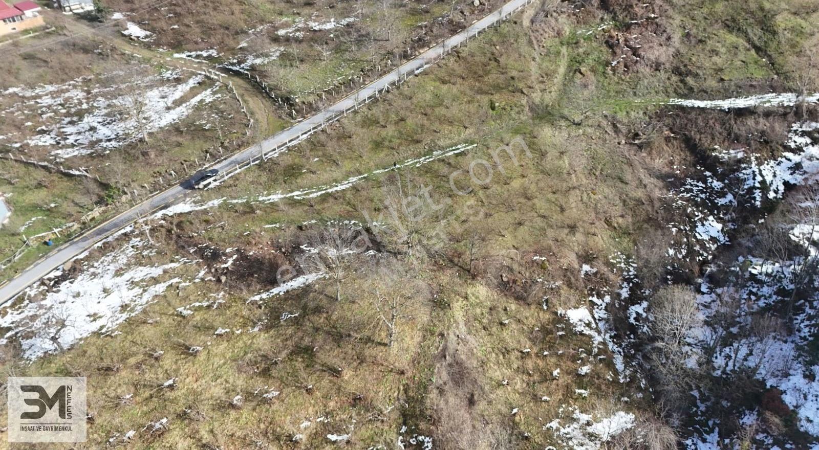 Sakarya Geyve Kamışlı 2240 M2 %40 İmarlı Uygun Fırsat Arsa - Görsel 13