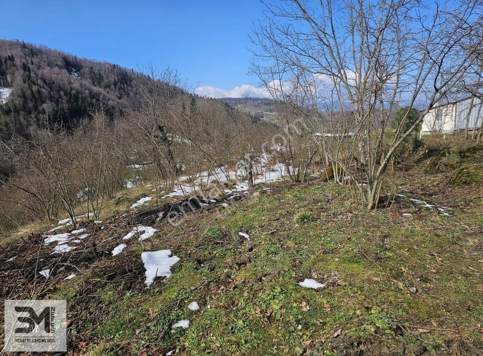 Sakarya Geyve Kamışlı 2240 M2 %40 İmarlı Uygun Fırsat Arsa - Görsel 18