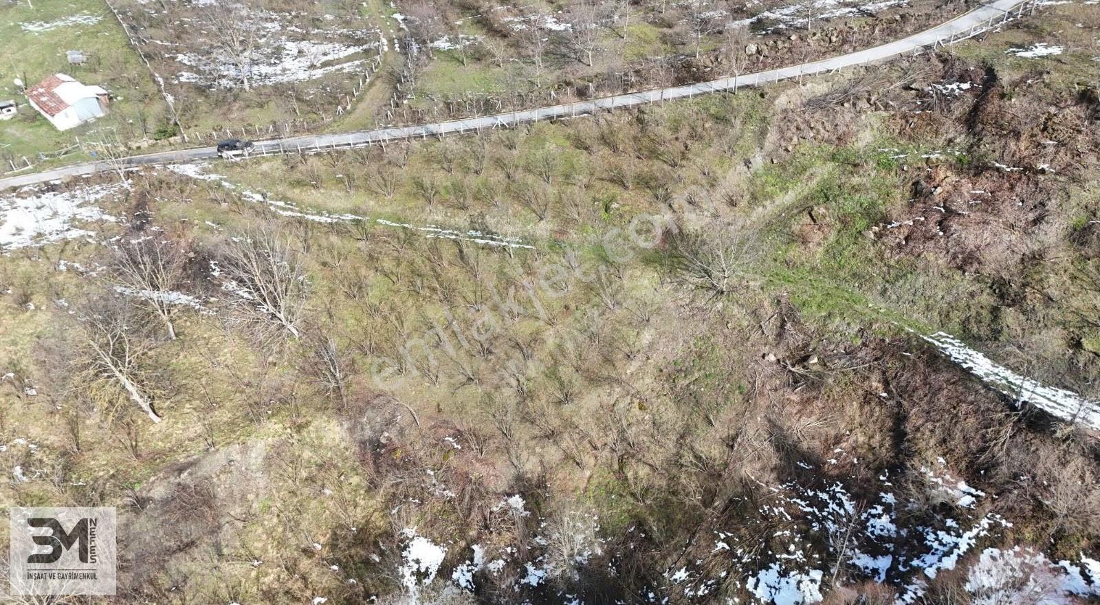 Sakarya Geyve Kamışlı 2240 M2 %40 İmarlı Uygun Fırsat Arsa - Görsel 32