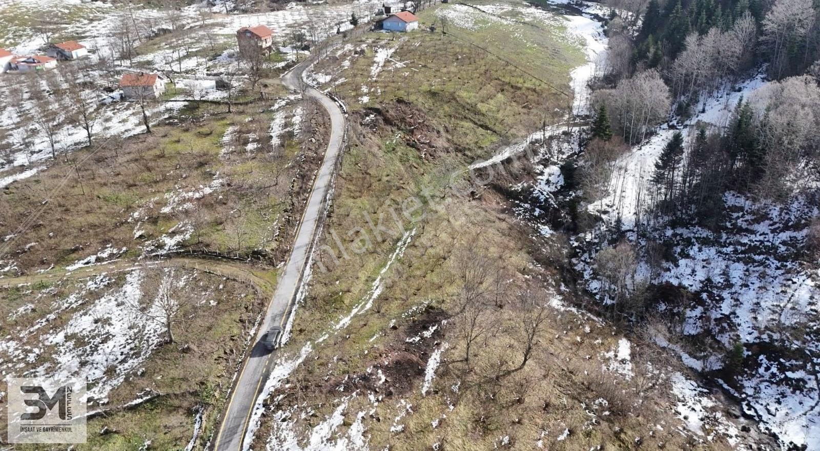 Sakarya Geyve Kamışlı 2240 M2 %40 İmarlı Uygun Fırsat Arsa - Görsel 6