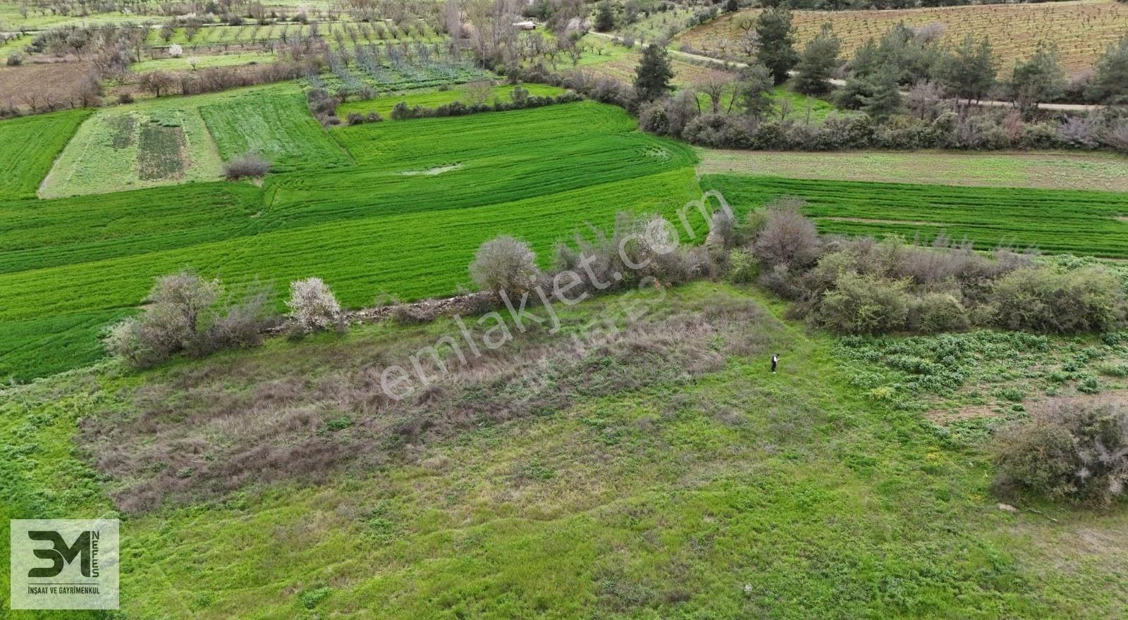 Sakarya Geyve Şehren1351 M2 Bahçe Nitelik Köye 1km Uygun Fırsat - Görsel 7