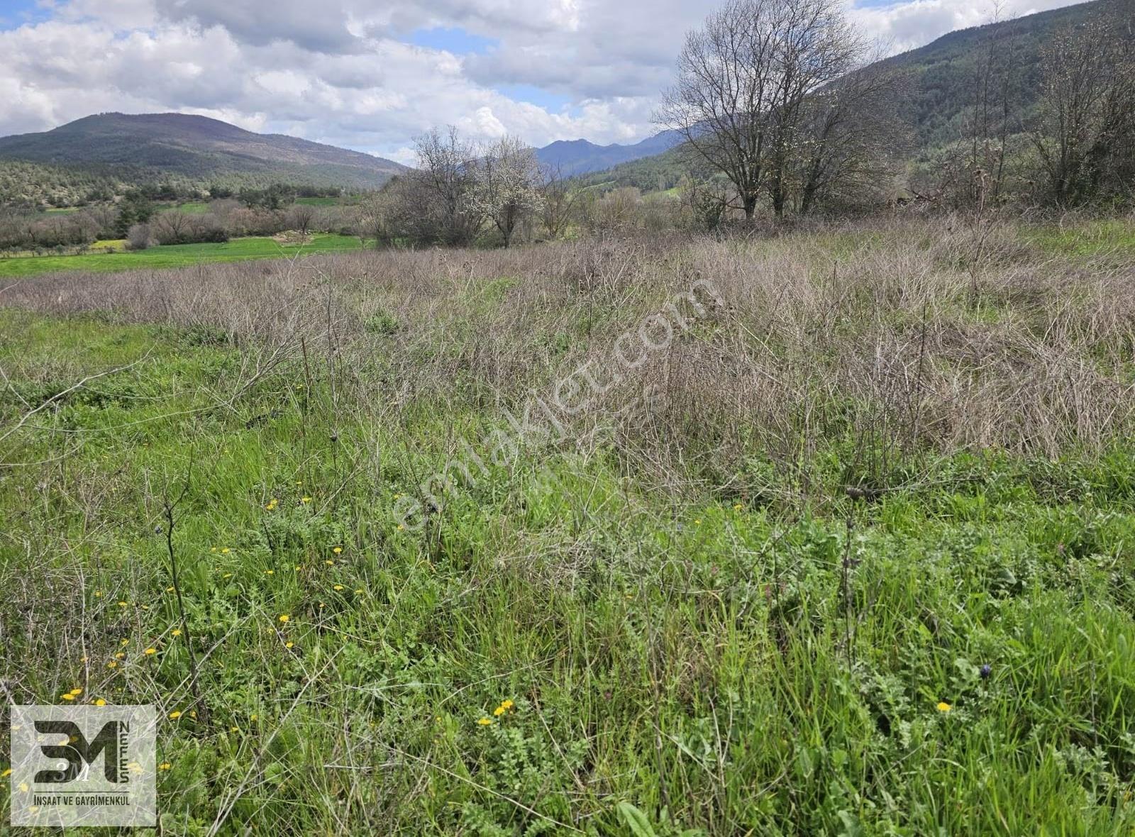 Sakarya Geyve Şehren1351 M2 Bahçe Nitelik Köye 1km Uygun Fırsat - Görsel 15
