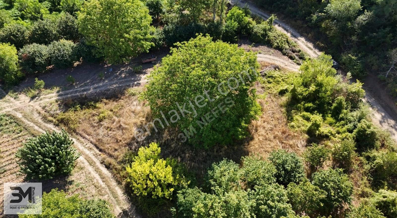 Geyve Karacaören 363 M² Resmi Yola Cephe Arsa