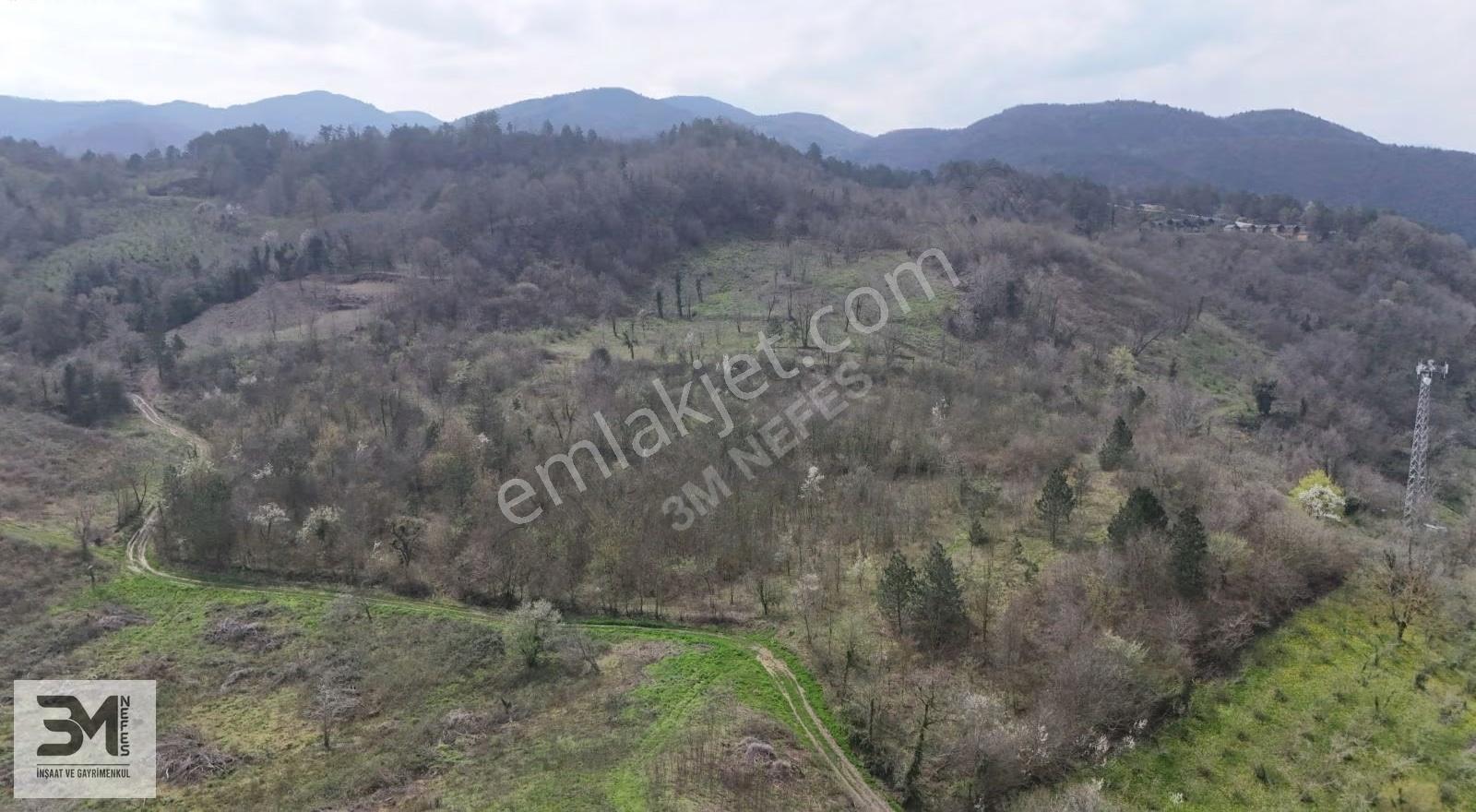 Sapanca Akçay'da Satılık 3998m² Turizm İmarlı Arsa - Görsel 3