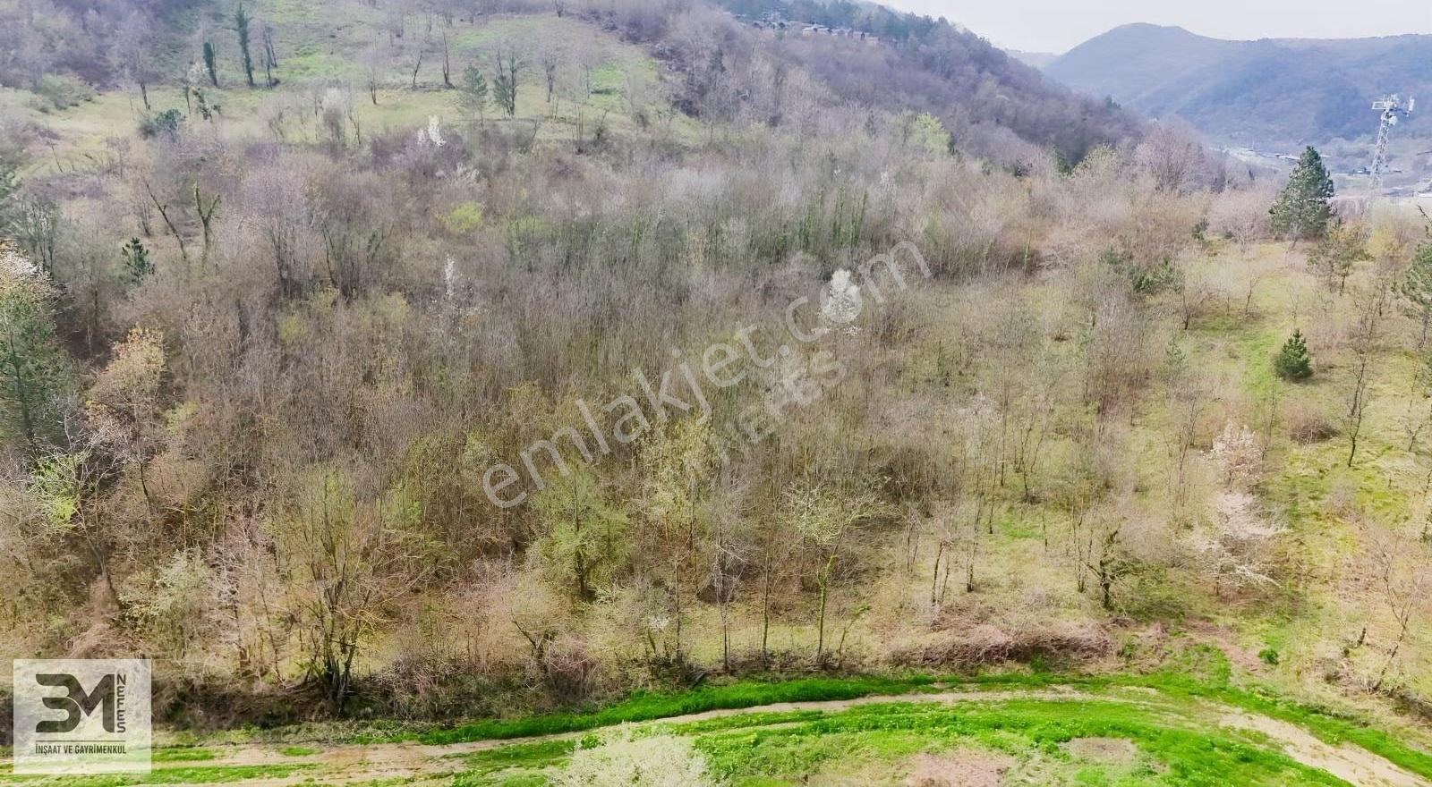 Sapanca Akçay'da Satılık 3998m² Turizm İmarlı Arsa - Görsel 13