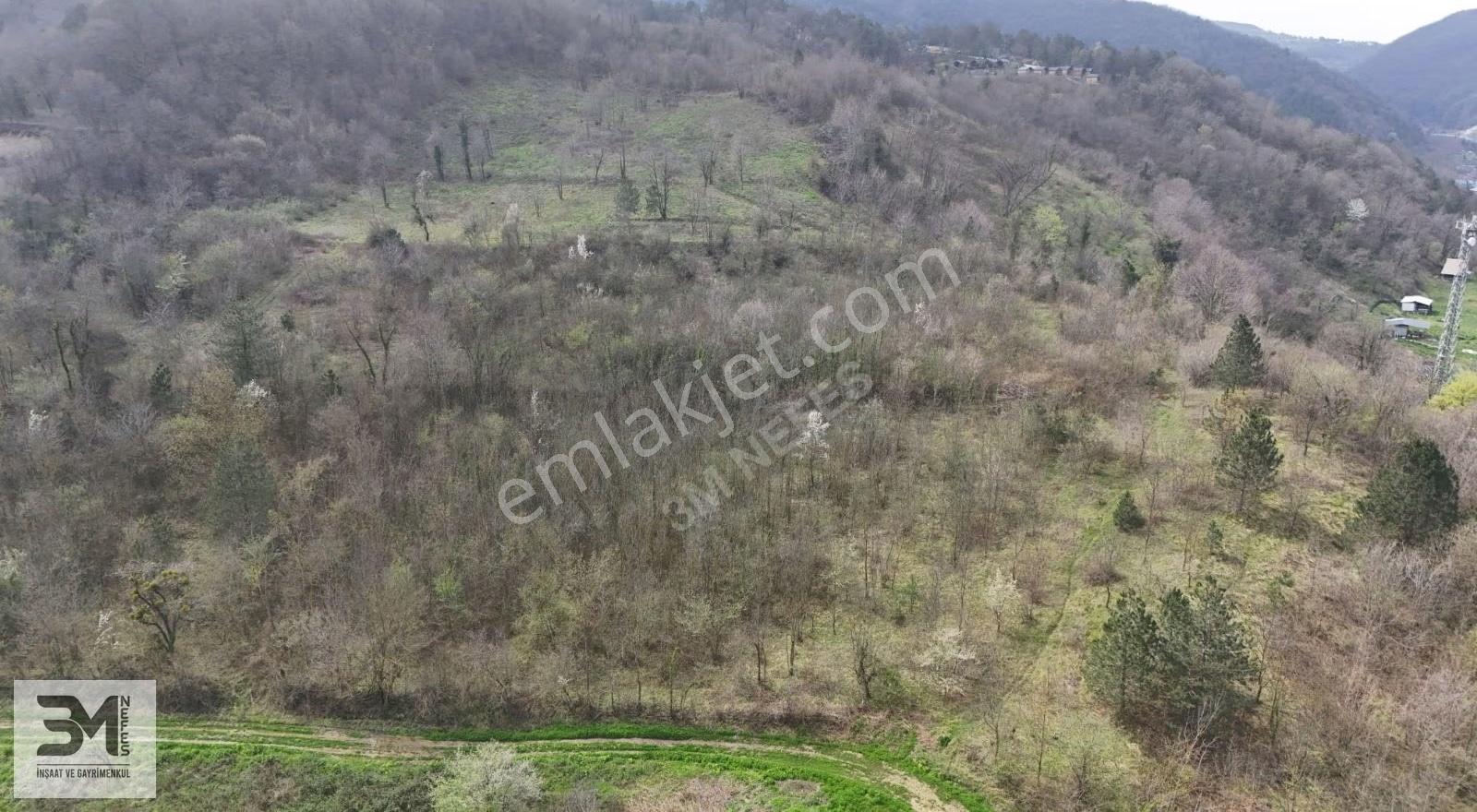 Sapanca Akçay'da Satılık 3998m² Turizm İmarlı Arsa - Görsel 12