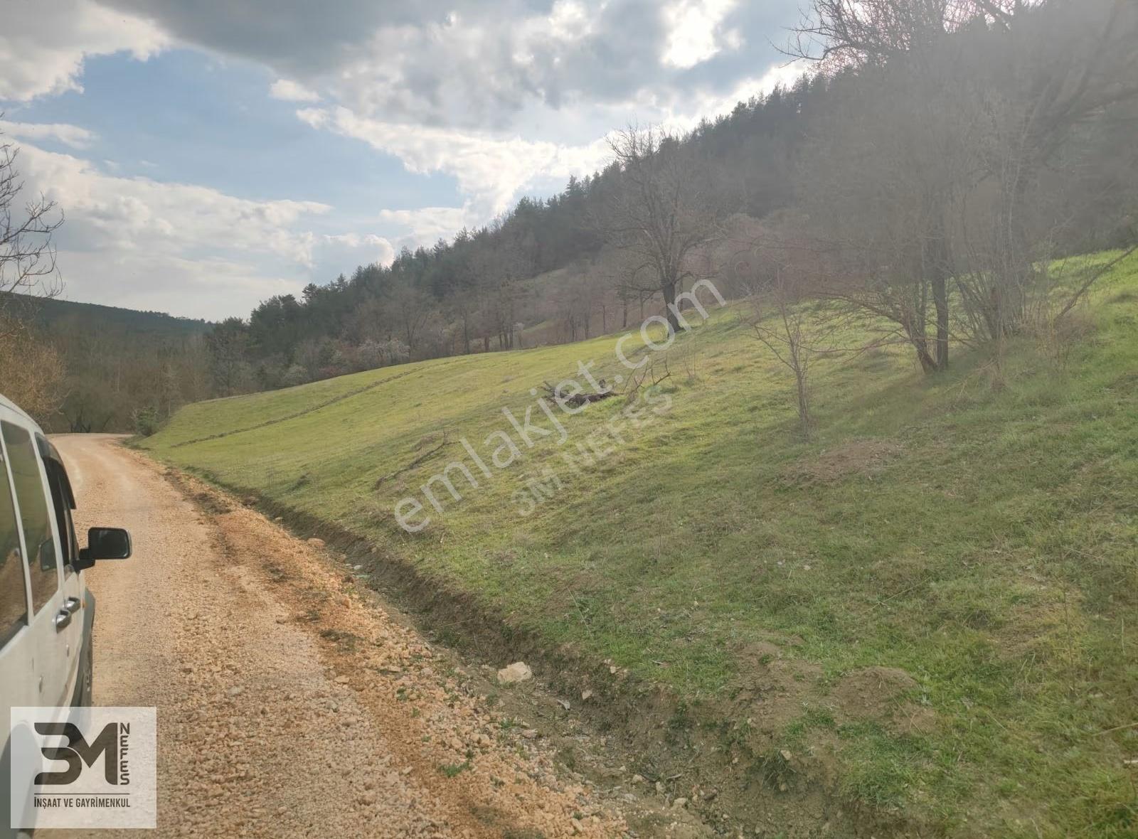 Sakarya Taraklı Harkköy'de 2360 M² Asfalt Cepheli Satılık Tarla - Görsel 12