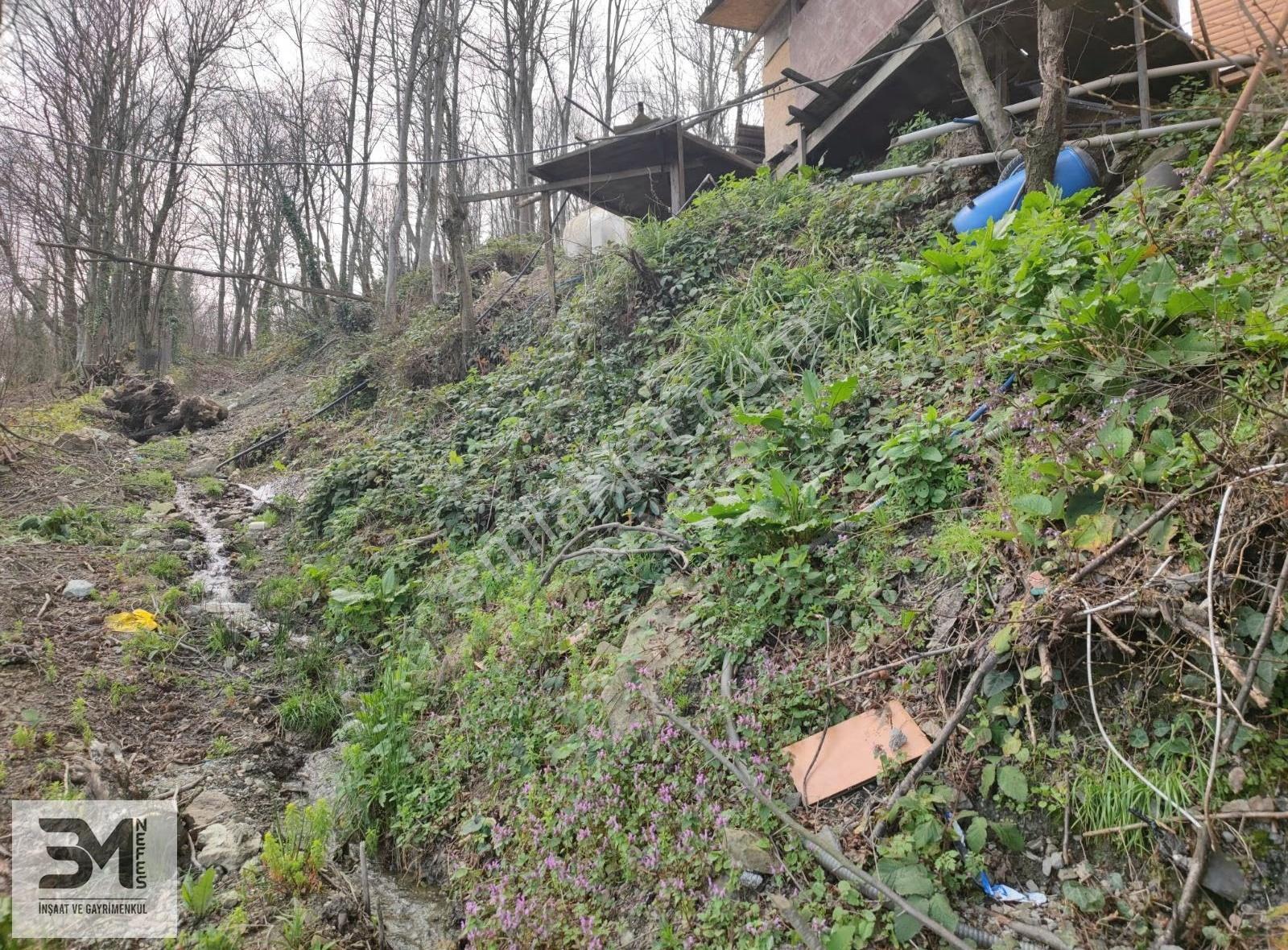 Sapanca Dibektaş Göl Manzaralı 4+1 Müstakil Ev 1587m² Bahçesi - Görsel 20