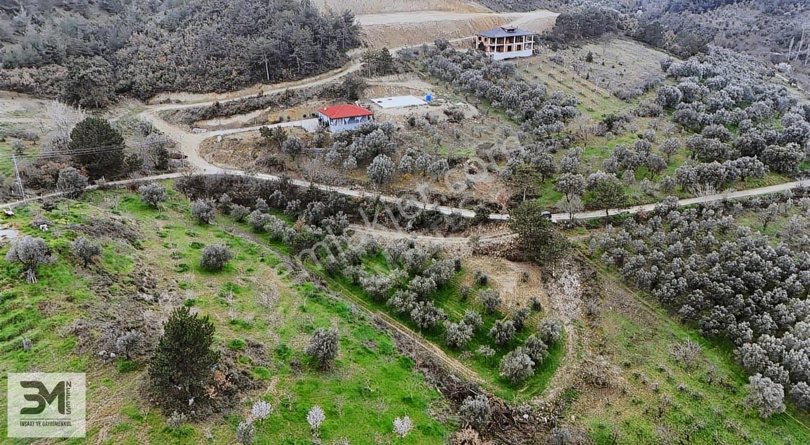 Sakarya Geyve Sarigazi 2500 M² Fırsat Arazi - Görsel 3