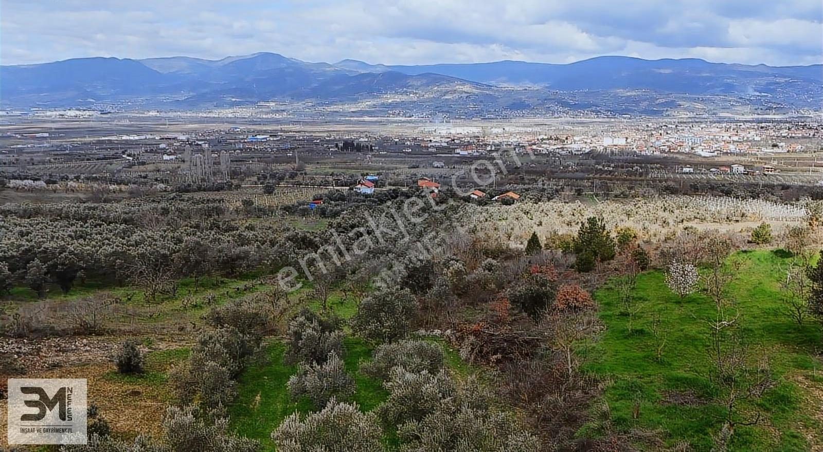 Sakarya Geyve Sarigazi 2500 M² Fırsat Arazi - Görsel 4