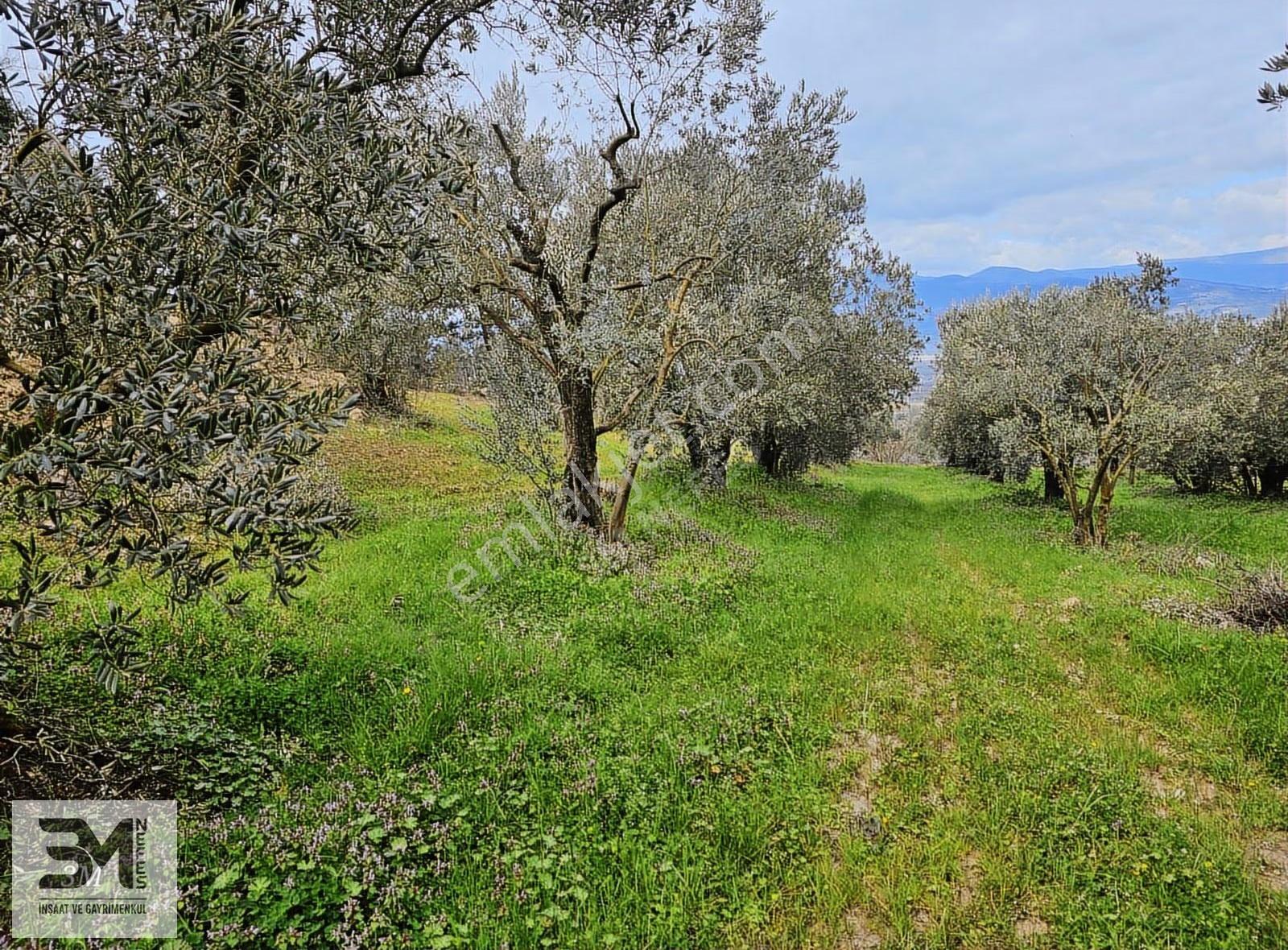 Sakarya Geyve Sarigazi 2500 M² Fırsat Arazi - Görsel 32