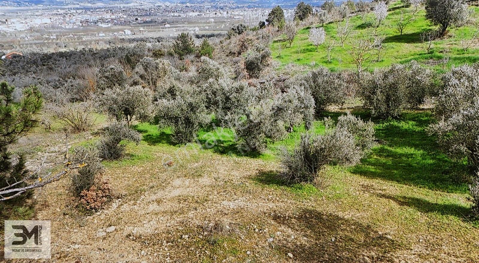 Sakarya Geyve Sarigazi 2500 M² Fırsat Arazi - Görsel 8