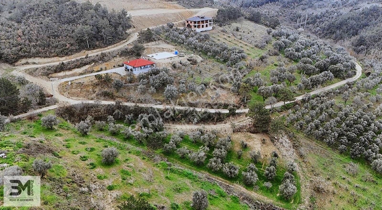 Sakarya Geyve Sarigazi 2500 M² Fırsat Arazi - Görsel 28