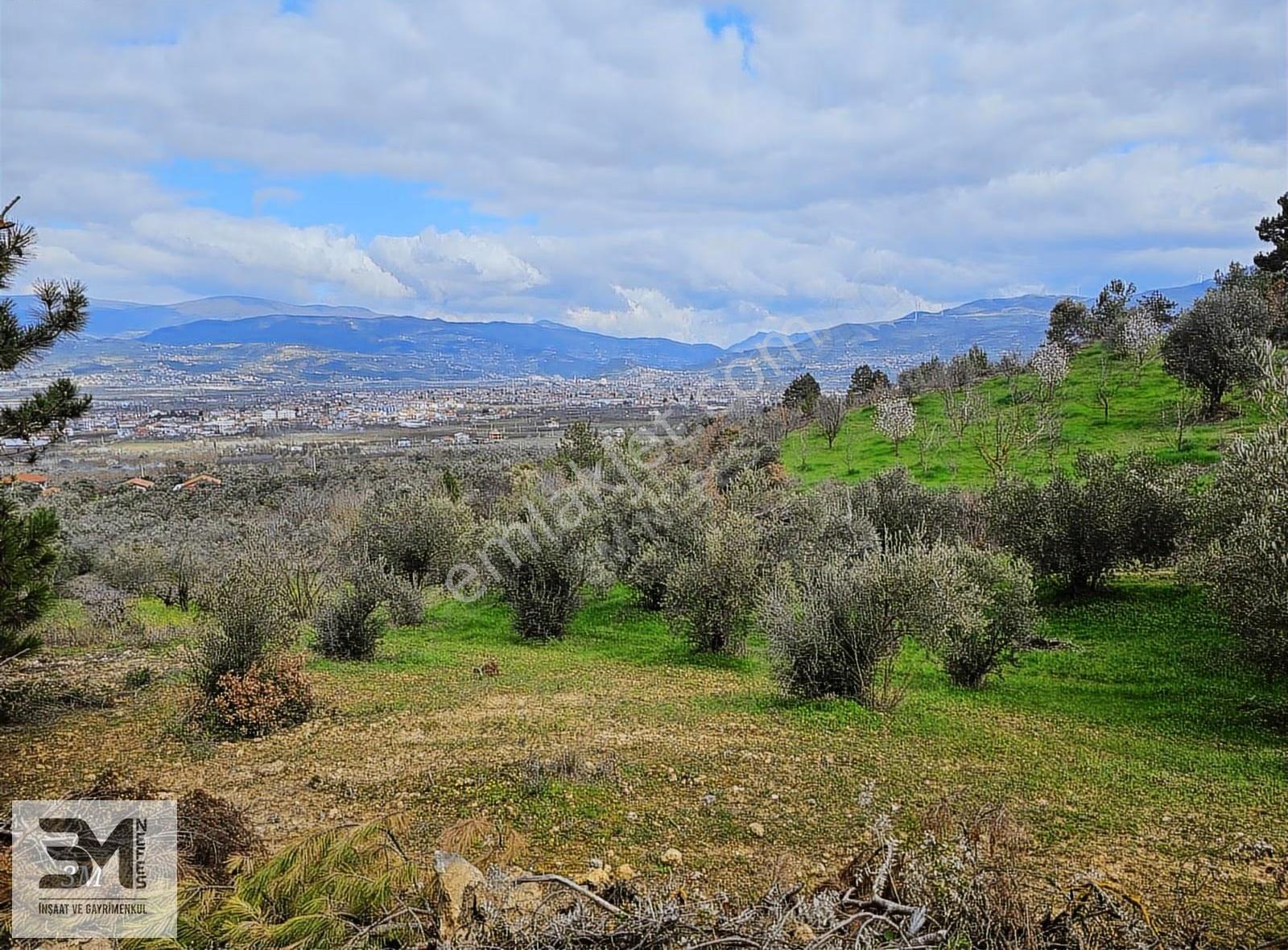 Sakarya Geyve Sarigazi 2500 M² Fırsat Arazi - Görsel 11