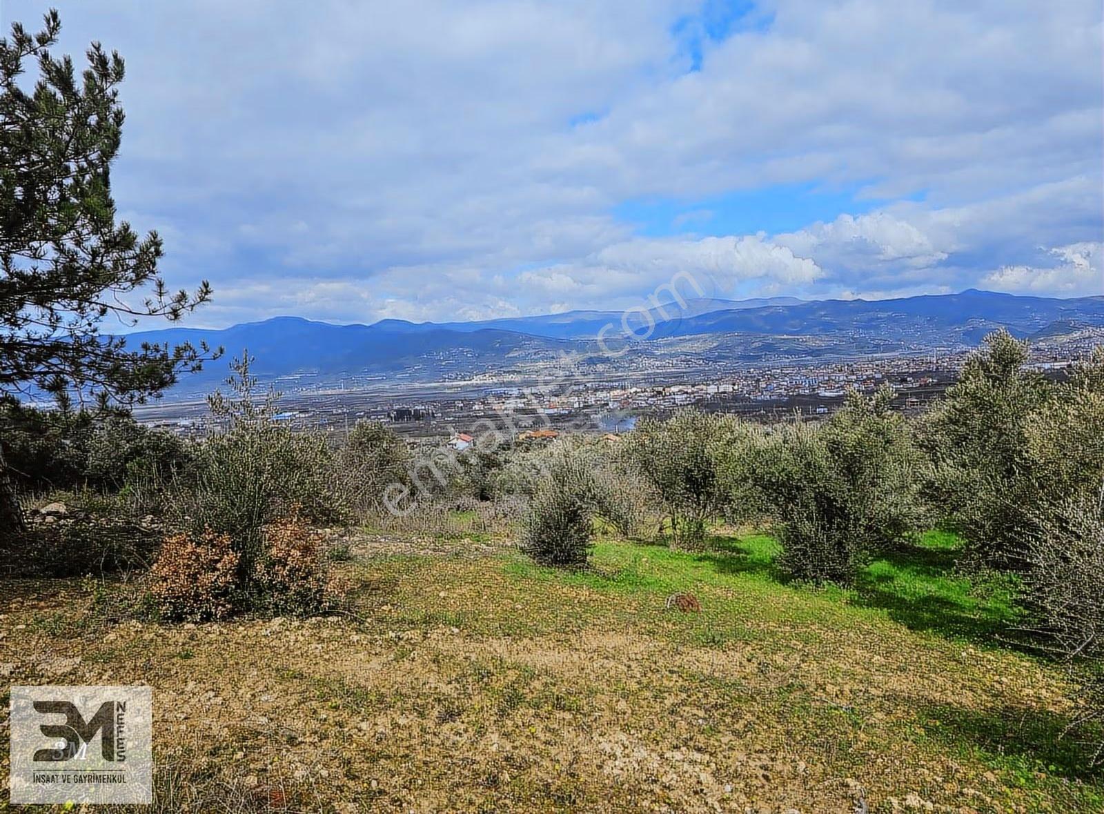Sakarya Geyve Sarigazi 2500 M² Fırsat Arazi - Görsel 16