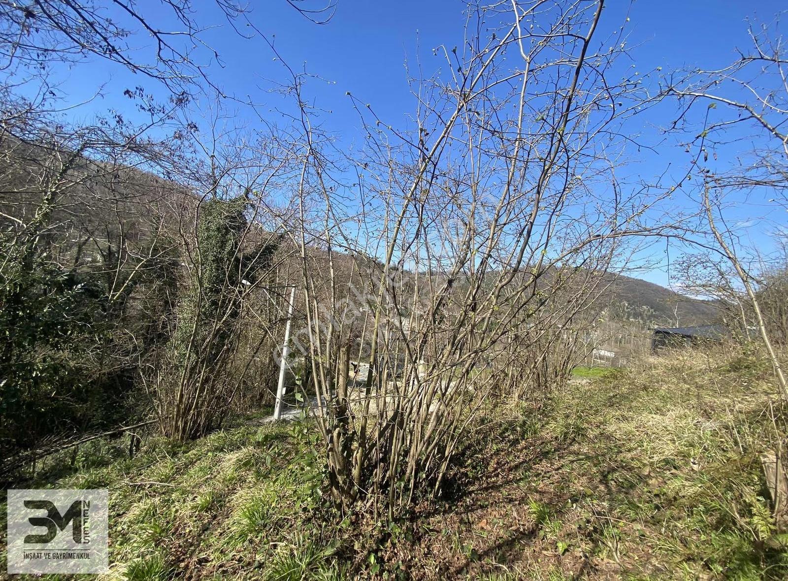 Sakarya Sapanca Fevziye 823 M2 Turizm İmarlı Uygun Fırsat Arsa - Görsel 35