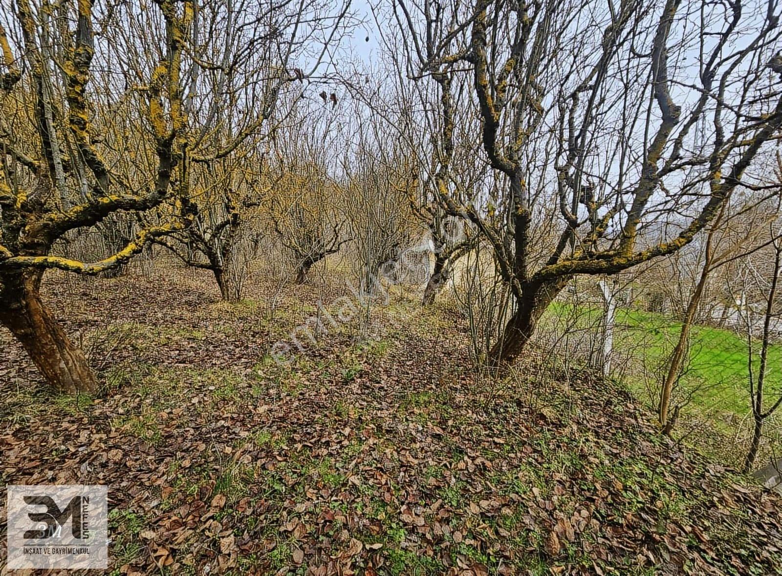 Sakarya Geyve Yaylak 830 M2 Asfalt Kenarı Uygun Fırsat Arsa - Görsel 13