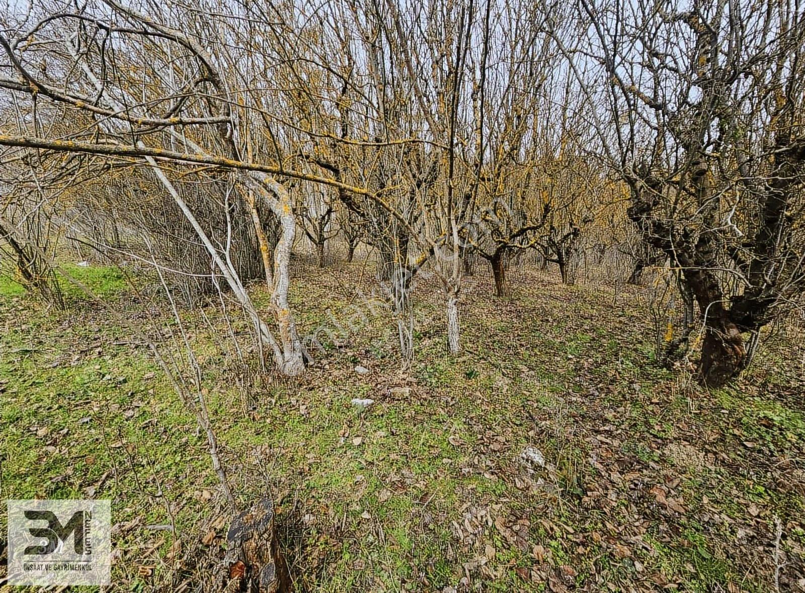 Sakarya Geyve Yaylak 830 M2 Asfalt Kenarı Uygun Fırsat Arsa - Görsel 16