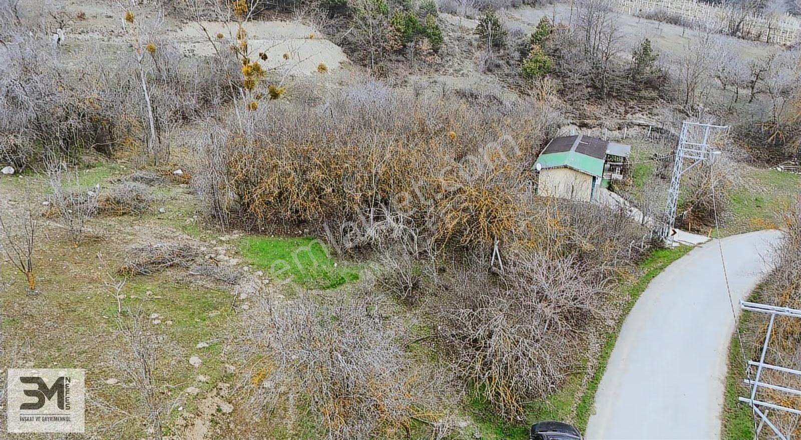 Sakarya Geyve Yaylak 830 M2 Asfalt Kenarı Uygun Fırsat Arsa - Görsel 26