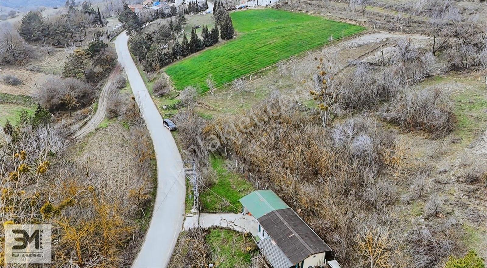 Sakarya Geyve Yaylak 830 M2 Asfalt Kenarı Uygun Fırsat Arsa - Görsel 7