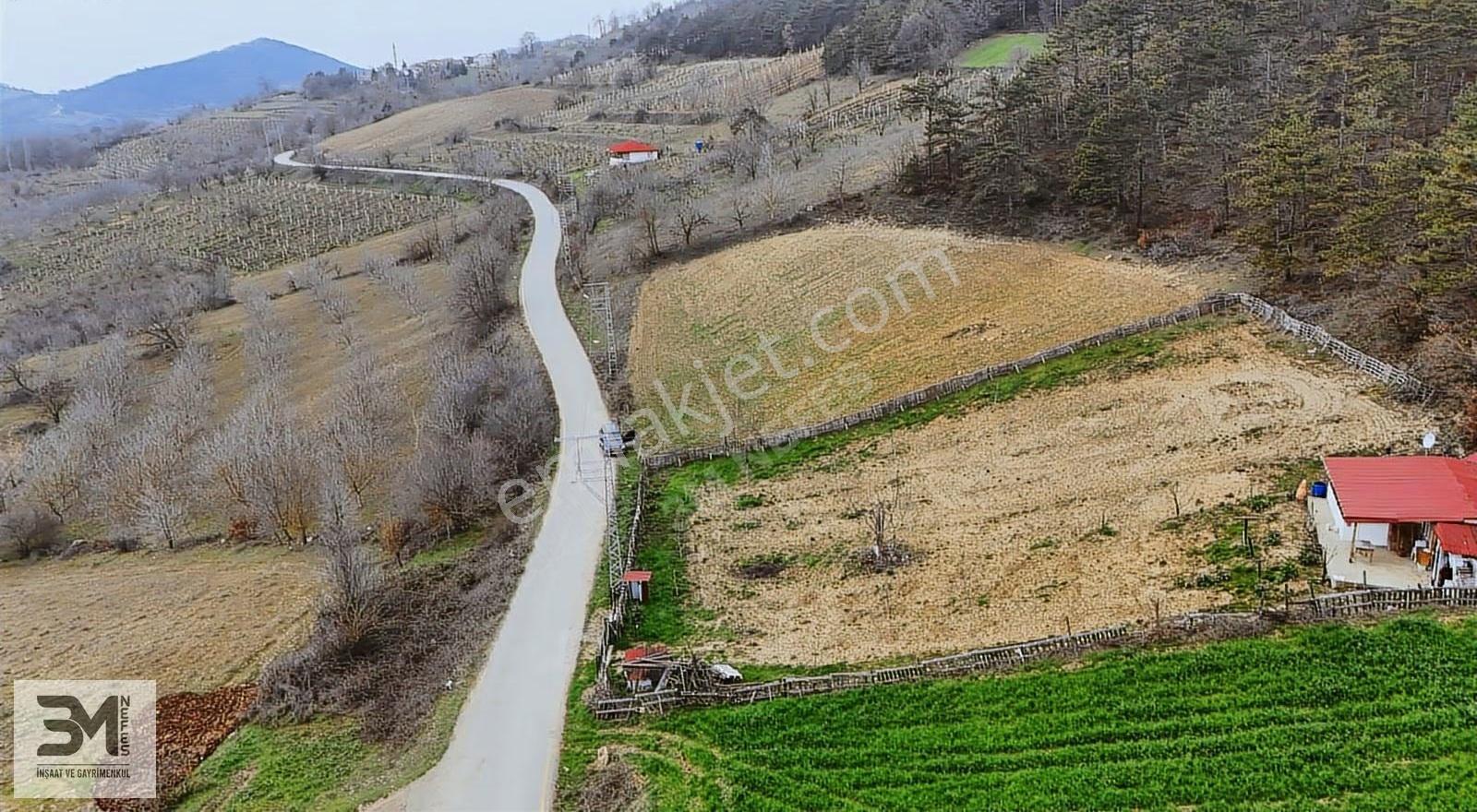 Sakarya Geyve Yaylak 2078 M2 Asfalt Yola Cephe Uygun Fırsat Arsa - Görsel 32