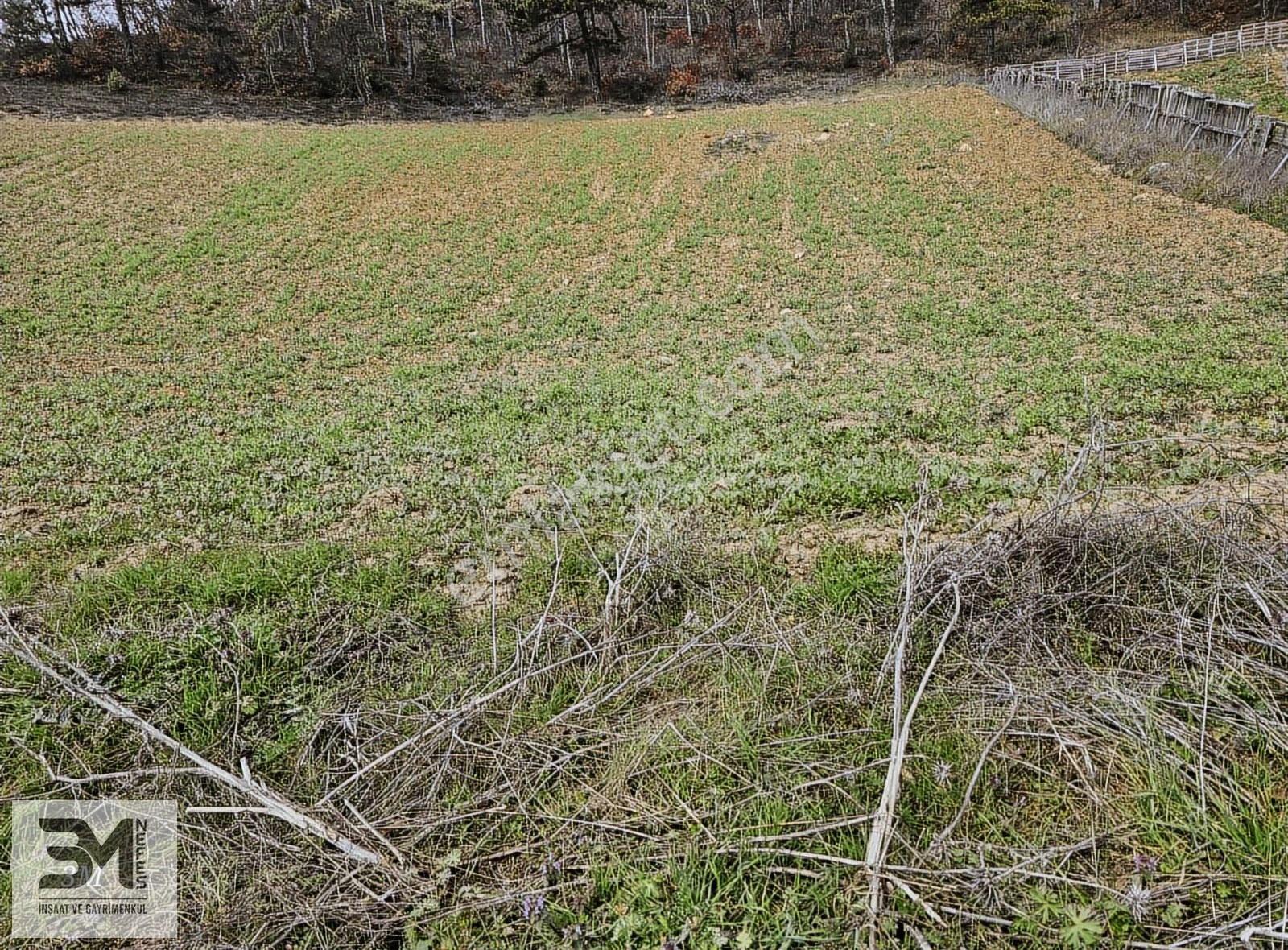 Sakarya Geyve Yaylak 2078 M2 Asfalt Yola Cephe Uygun Fırsat Arsa - Görsel 5